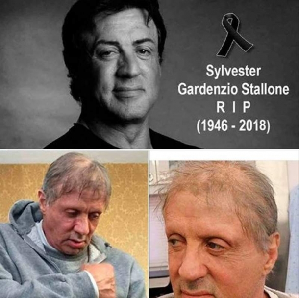 actorul-sylvester-stallone-a-murit-actorul-a-fost-gasit-mort-in-locuinta-sa-din-los-angeles-adevarul-despre-stirea-care-face-inconjurul-lumii-272203