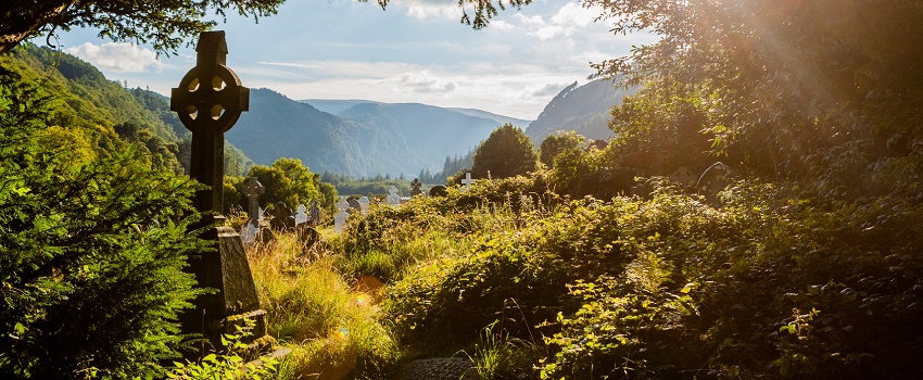 astrologie celtique les arbres